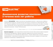 Лампа TDM ELECTRIC AD-22DS LED матрица d22мм желтый 12В AC/DC SQ0702-0017