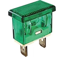 Сигнальная лампа TDM YL238-01 зеленая, неон, 230В, SQ0702-0080