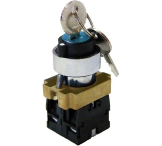 Переключатель TDM BG45 черный 2 положения с ключом 1з 1р SQ0703-0009