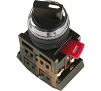 Переключатель IEK AC-22 на 2 положения, черный, I-O, 1з+1p, ИЭК BSW10-AC-2-K02
