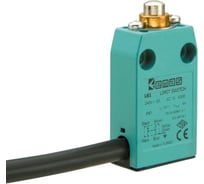 Концевой выключатель Emas L66K13PUM211