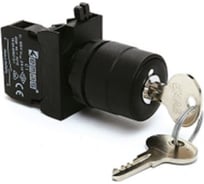 Кнопка с ключом Emas 0-1, с фиксацией, 1НЗ, 250 В AC, 4 А CP200AC20