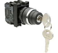 Кнопка с ключом Emas серия B, 2-0-1, ключ вынимается в положении 0, 2НО, 250 В AC, 4 А B101AA30