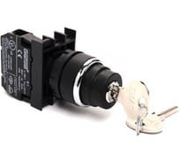 Кнопка с ключом Emas 2 положения, возвратная, 250 В AC, 4 А B100AA21