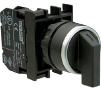 Переключатель Emas серия B, 2-0-1, с фиксацией в первом положении, 2НО, 250В AC, 4 А B101S31