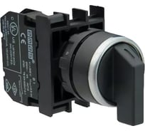 Переключатель Emas 2-0-1, с фиксацией в первом положении, 250В AC, 4 А CP101S31