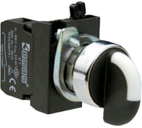 Переключатель Emas серия C, 2-0-1, с фиксацией, 1НО, 250 В AC, 4 А CP100S30