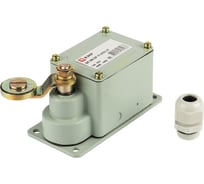 Концевой выключатель EKF ВК-300, БР11-67У2-21, PROxima, SQ vk-300br-21