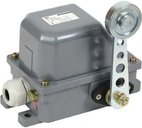 Концевой выключатель IEK КУ-701 У1, рычаг с роликом, 10А, IP44, 2 эл. цепи KV-1-701-1