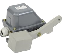 Концевой выключатель IEK КУ-703 У1, рычаг с грузом, 10А, IP44, 2 эл. цепи KV-1-703-1