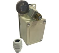 Конечный выключатель ООО ЭТК ВК-300 БР-11-67У2-21 00000002253
