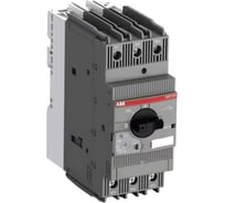 Автоматический выключатель ABB Мотор автомат MS165-42 1SAM451000R1015
