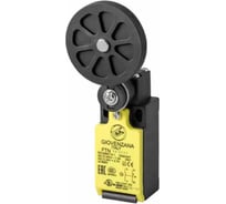 Концевой выключатель Giovenzana с рычагом с резиновым роликом 50мм FTN141Z11