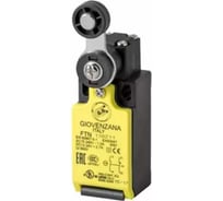 Концевой выключатель Giovenzana с регулируемым поворотным рычагом с роликом, 2H3 мгновенного действия FTN138W02