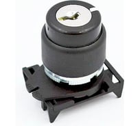 Переключатель Giovenzana с ключом, фиксированный, 2 положения, 90 градусов, (извлечение O DX) PSCR8D0N