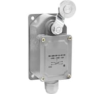 Выключатель концевой Аласта ВК-300-БР-11-67У2 универсальный AL-VK300