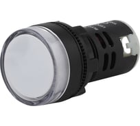 Лампа ЭРА AD22DS(LED)матрица, d=22мм, белый, 24В, AC/DC, 10/1000/12000 Б0045606