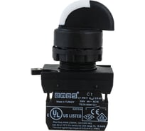 Переключатель Emas 0-1, с фиксацией, 1НО, серия C, 250В AC, 4А CP100S20