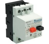 РЕЛЕ ТЕРМОМАГНИТНЫЕ - термомагнитный автомат защиты двигателя Emas 20-25А, 400В. MKS1TM-25