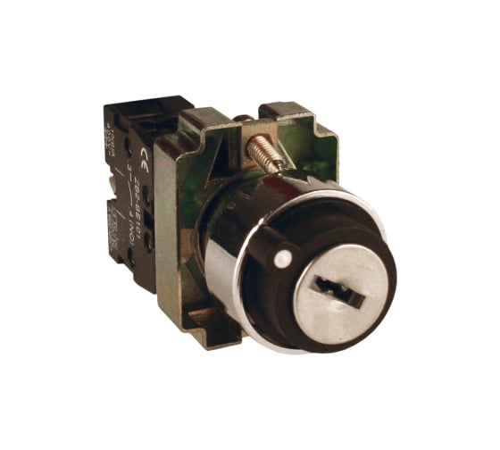 Переключатель EKF BG61 2P с замком возвратный NO xb2-bg61 1