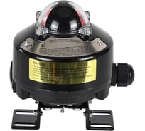 Блок концевых выключателей DN.ru LSB-510-02ExM12-250 взрывозащищенный D240-00369