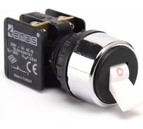 Кнопка-тумблер Emas KB34C