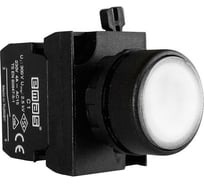 Кнопка с подсветкой-светодиод Emas белая CP150DB