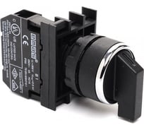 Переключатель Emas 0-1 с фиксацией 2НЗ B202S20