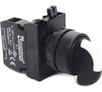 Переключатель Emas 0-1 с фиксацией 1НО с LED синий 100-250В DC CP1M0S20