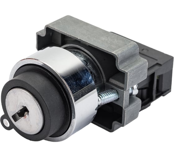 Переключатель ANDELI LA115-A5-11Y/21 черный с ключом 1НО+1НЗ AC220V ADL10-300