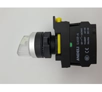 Переключатель ANDELI LA115-A5-11XD/211 белый 1НО+1НЗ AC220V (LED) ADL10-222