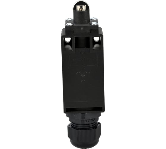 Концевой датчик DN.ru LS-103-41NM2-250 напряжение 250В, максимальный ток 6А, D240-01003
