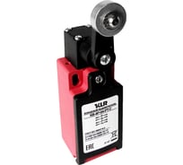 Выключатель концевой KLR /KB-4P-04-PT-C 2NO/2NC Snap action/10A/600VAC/Ввод M20 8800018