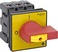 Выключатель разъединитель Systeme Electric 3P 40A IP20, с красной рукояткой на дверцу, 4 винта, 1 замок MSD40360R