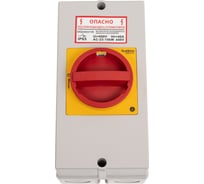 Главный аварийный выключатель-разъединитель Systeme Electric 3P 40A, закрытого исполнения IP65, с замком MSD40311R