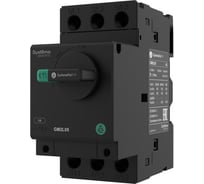 Автоматический выключатель защиты двигателя Systeme Electric GM2L 10A, магнитный расцепитель, поворотная рукоятка (GV2L14) GM2L14