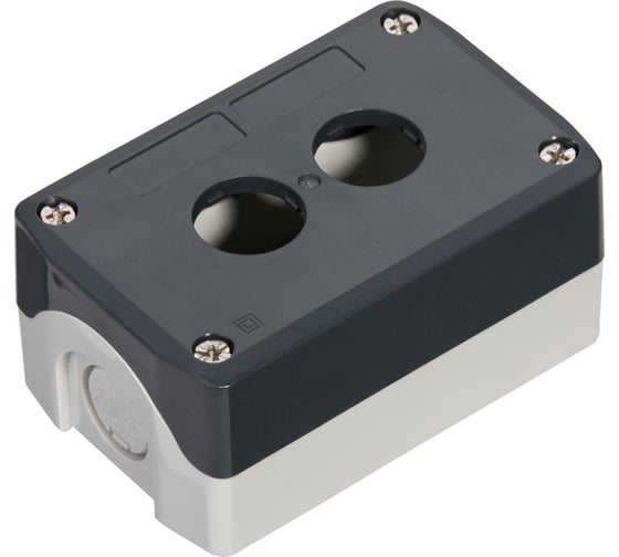 Кнопочный пост Systeme Electric, 2 отверстия, серый SALD02 1