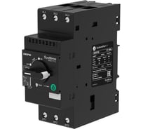 Автоматический выключатель защиты двигателя Systeme Electric GM3P, 30-40A комбинированный расцепитель, поворотная рукоятка, винтовой зажим (GV3P40) GM3P40