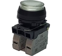 Выключатель Briswik КЕ 171/2м -Л 220В белый, 1но+1нз, цилиндр, с подсветкой, IP66, УХЛ2, 10А aZ-EB-6Ai-7821