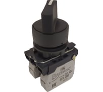 Переключатель Briswik КПЕ 1131 -Р черный 3но+1нз Ручка с фикс 2-поз aB-VB-0Ai-0142