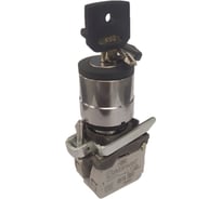 Переключатель Briswik КПЕ 1620 -КС черный 2но+0нз Ключ с фикс 2-поз IP65 AD-YB-5Ai-0122