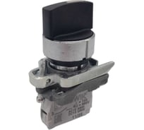 Переключатель Briswik КПЕ 1610 -РС черный 1но+0нз Ручка с фикс 2-поз IP65 aD-VB-5Ai-0111