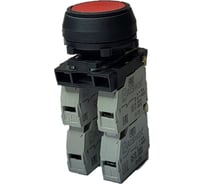 Выключатель Briswik КЕ 012/5м красный 0но+4нз Цилиндр IP40 УХЛ3 10А aZ-DB-0Ai-0245
