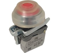 Выключатель Briswik КЕ 081/2м -С красный 1но+1нз Цилиндр с наружным протектором IP66 УХЛ2 10А aT-DB-3Ai-0221