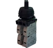 Переключатель Briswik ПЕ 012/1м черный 4но+0нз Ручка с фикс 2-поз IP40 УХЛ3 10А aZ-VB-0Ai-0141