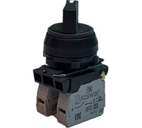 Переключатель Briswik ПЕ 011/1м черный 2но+0нз Ручка с фикс 2-поз IP40 УХЛ3 10А aZ-VB-0Ai-0122