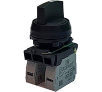 Переключатель Briswik ПЕ 081/1м черный 2но+0нз Ручка с фикс 3-поз IP66 УХЛ2 10А aZ-VG-6Ai-0122