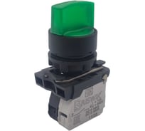 Переключатель Briswik КПЕ 1610 -РЛ 220В зеленый IP65 УХЛ2 10А 1но+0нз aB-XB-5Ai-7311