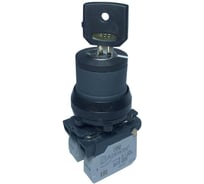 Переключатель Briswik КПЕ 2611 -К черный IP65 УХЛ2 10А 1но+1нз aB-YG-5Ai-0121