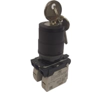 Переключатель Briswik КПЕ 4520 -К черный 2но+0нз Ключ 3-поз IP54 AB-TG-4Ai-0122